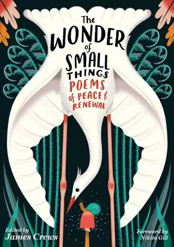 The Wonder of Small Things cover