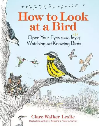 How to Look at a Bird cover