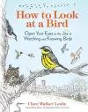 How to Look at a Bird cover