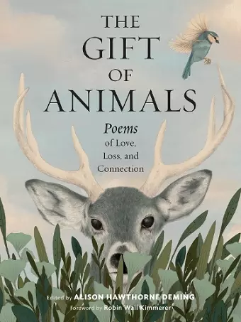 The Gift of Animals cover