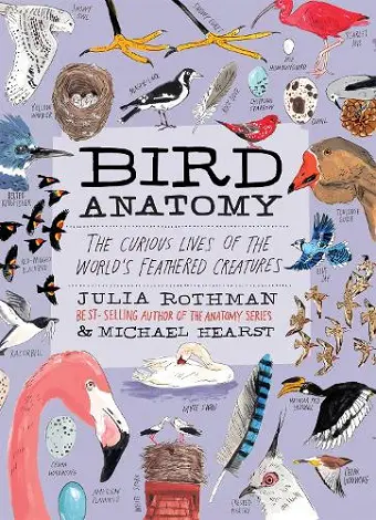 Bird Anatomy cover