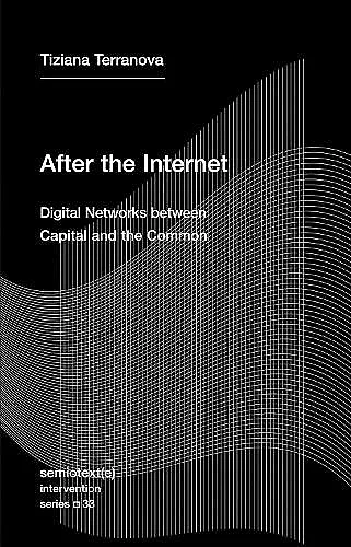 After the Internet cover