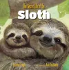 Secret Life of the Sloth, The cover
