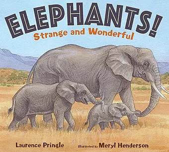 Elephants! cover