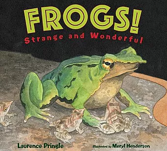 Frogs! cover