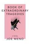 Book Of Extraordinary Tragedies cover