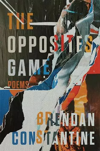 The Opposites Game cover