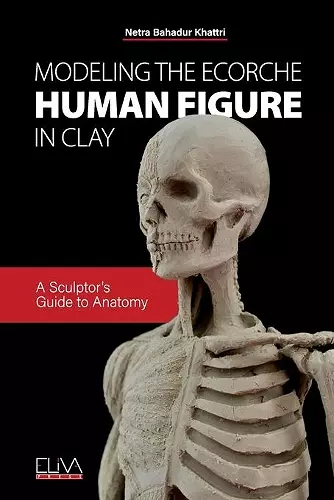 Modeling the Ecorche Human Figure in Clay cover