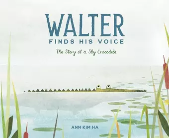 Walter Finds His Voice cover