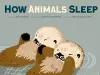 How Animals Sleep cover