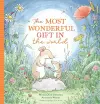 The Most Wonderful Gift in the World cover