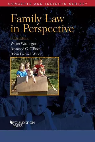 Family Law in Perspective cover