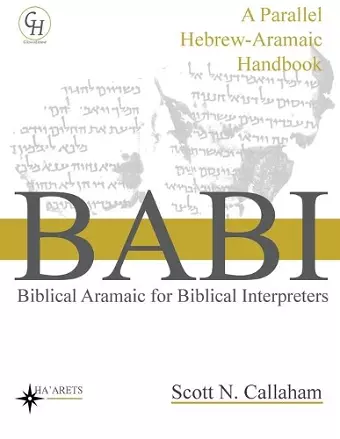 Biblical Aramaic for Biblical Interpreters cover