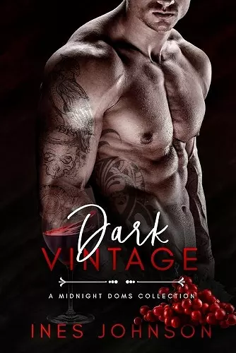 Dark Vintage cover