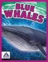 Giants of the Sea: Blue Whales cover