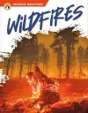 Wildfires cover