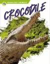 Crocodile cover