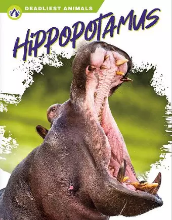 Hippopotamus cover