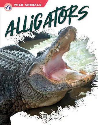Alligators cover