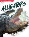 Alligators cover