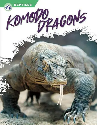 Komodo Dragons cover