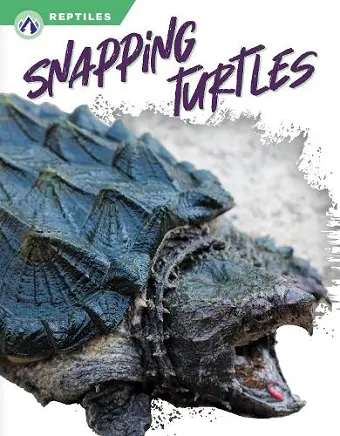 Snapping Turtles cover