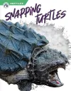 Snapping Turtles cover
