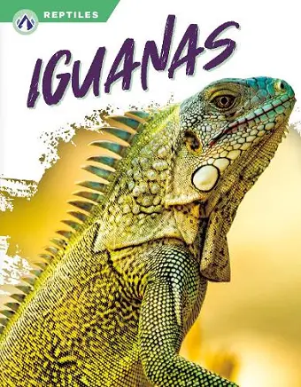 Iguanas cover