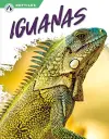 Iguanas cover