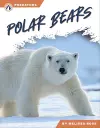 Polar Bears cover