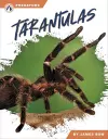 Tarantulas cover