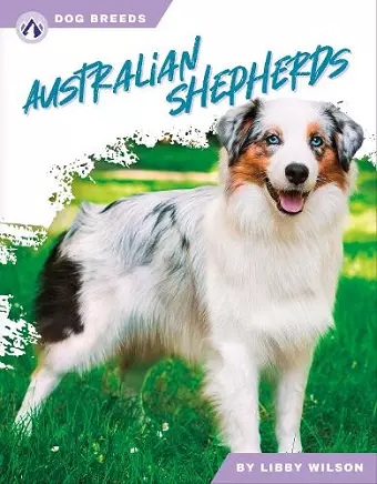 Australian Shepherds cover
