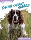 English Springer Spaniels cover