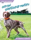 German Shorthaired Pointers cover