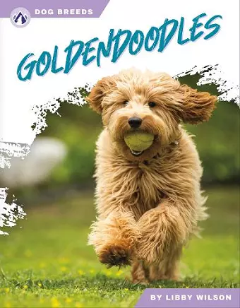Goldendoodles cover