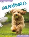 Goldendoodles cover