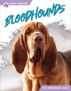 Bloodhounds cover