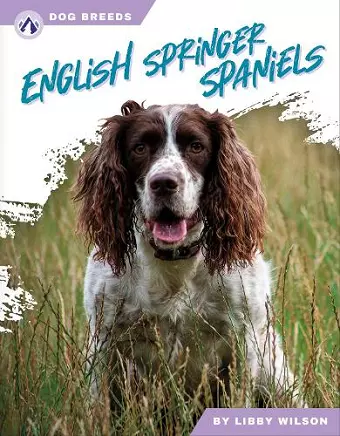 English Springer Spaniels cover