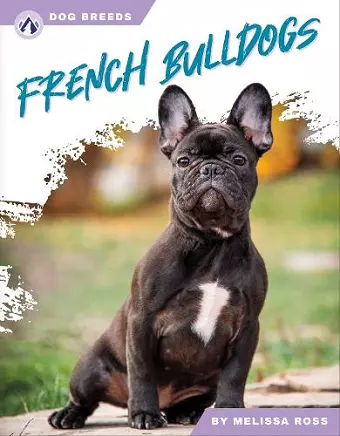 French Bulldogs cover