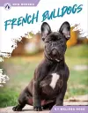 French Bulldogs cover