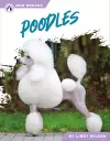 Poodles cover