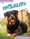 Rottweilers cover
