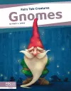 Fairy Tale Creatures: Gnomes cover