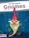 Gnomes cover