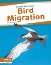 Bird Migration cover