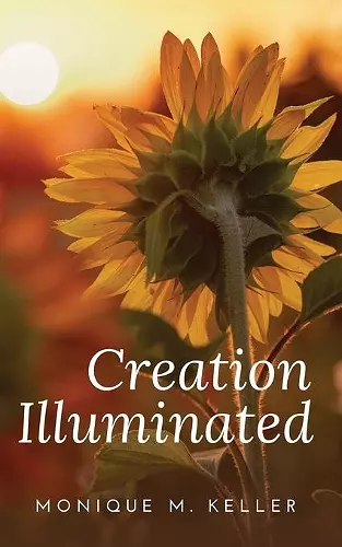 Creation Illuminated cover