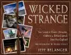 Wicked Strange cover