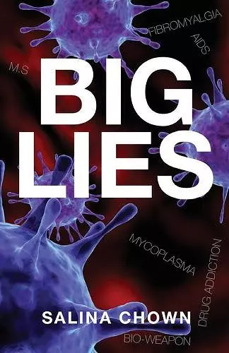 Big Lies cover