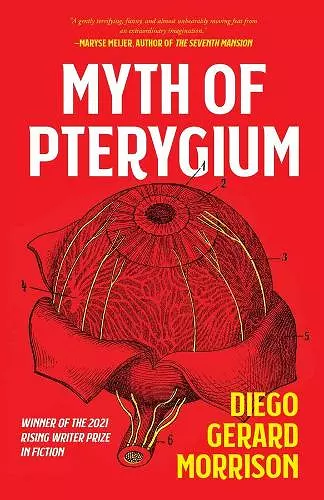 Myth of Pterygium cover