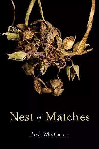 Nest of Matches cover